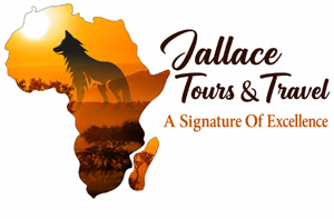 Jallace Tours and Travel Limited