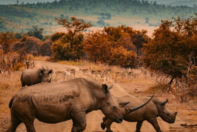 10-Day Grand Kenya Safari