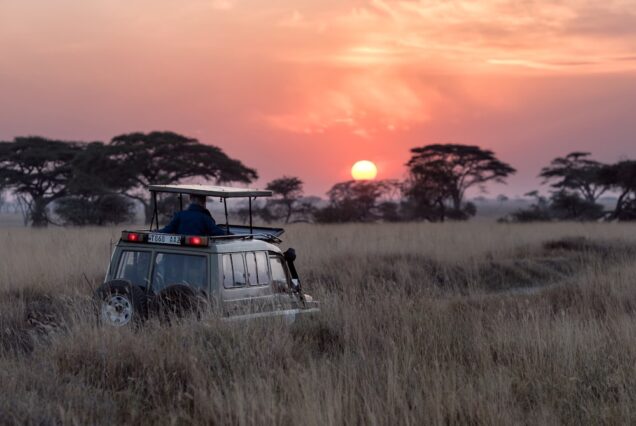 2-Day Lake Nakuru Rhino Weekend