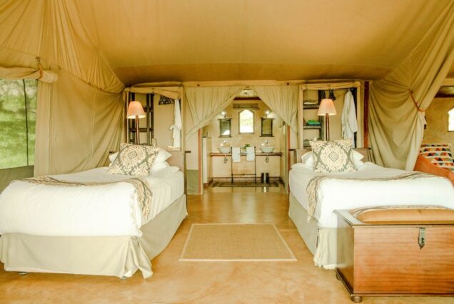 4-Day Masai Mara Luxury Fly-In Safari
