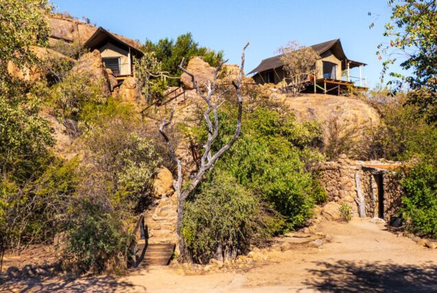 5-Day Masai Mara Private Conservancy Luxury Safari