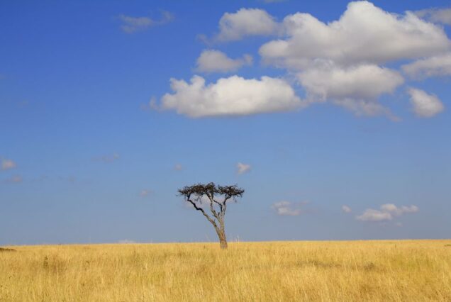 7-Day Classic Kenya Circuit Safari
