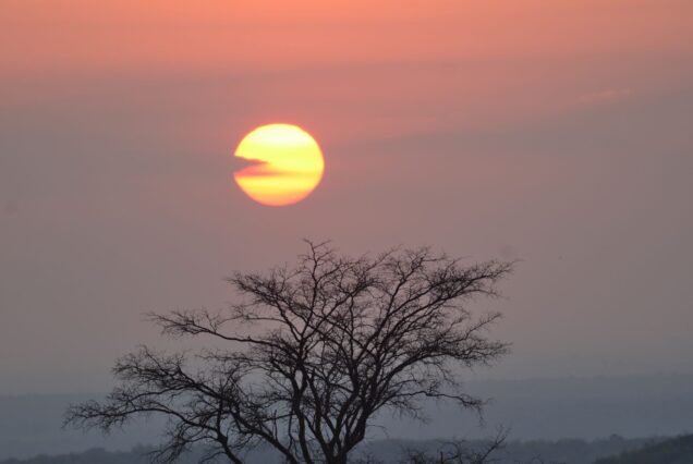7-Day Kenya Honeymoon: Safari & Beach