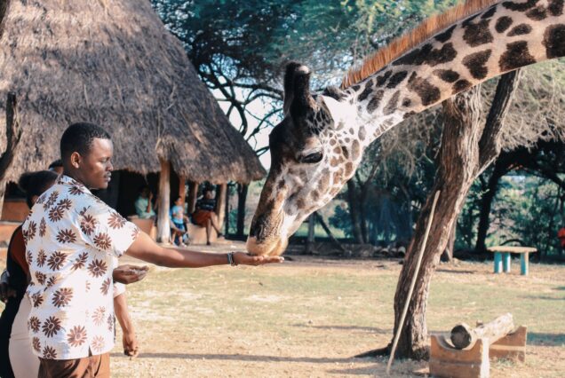 8-Day Kenya Family Safari