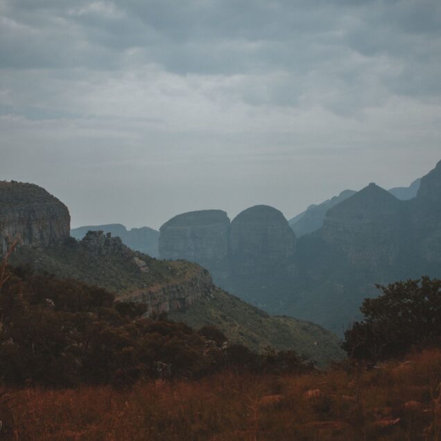 Aberdare National Park