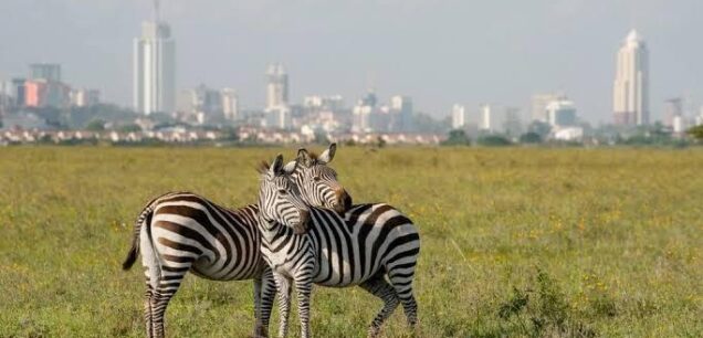 Nairobi National Park