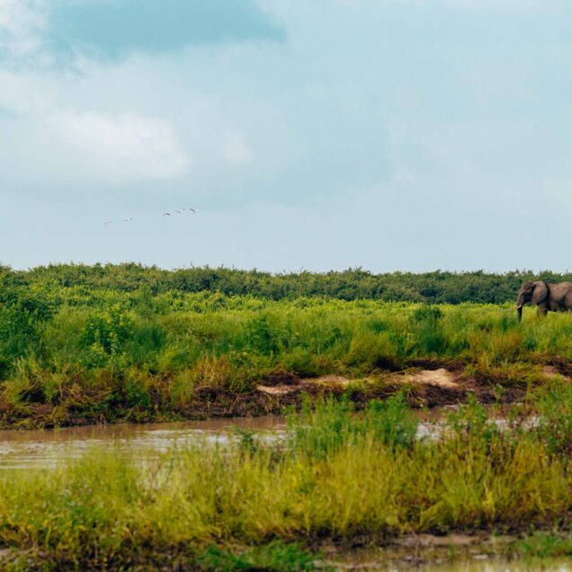 Meru National Park