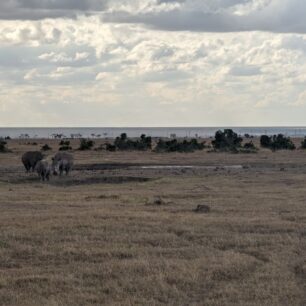 Ol Pejeta Conservancy