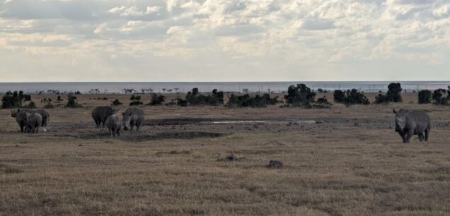 Ol Pejeta Conservancy