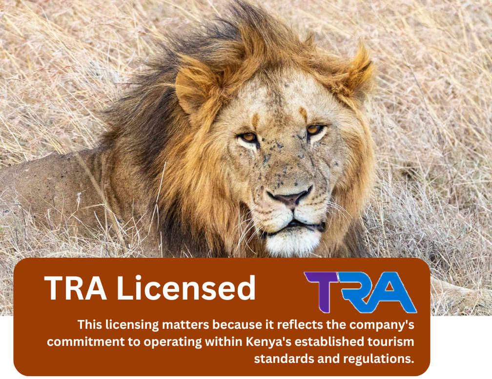 Jallace Tours and Travel Limited is a Kenya-based tour and travel company dedicated to helping local and international travelers experience the very best of Kenya's wildlife, landscapes, and culture. As a licensed tour operator in Kenya,