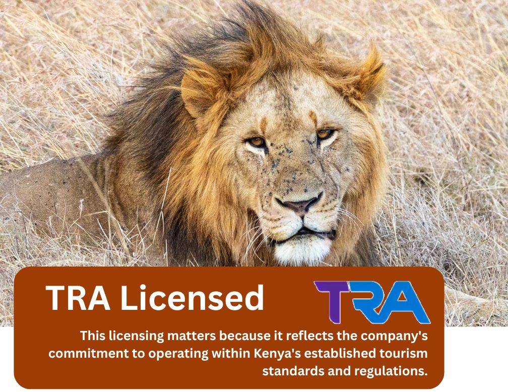 TRA licensed tour operator in Kenya offering Kenya safari tours