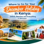 December Holidays in Kenya: Best Safaris & Beach Ideas